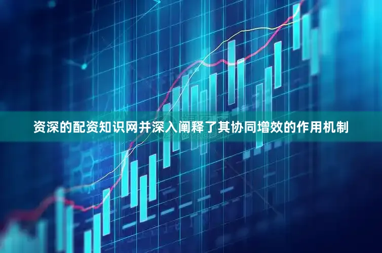 资深的配资知识网并深入阐释了其协同增效的作用机制