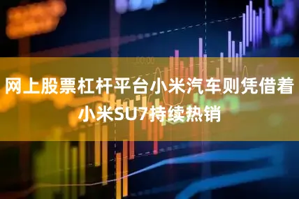 网上股票杠杆平台小米汽车则凭借着小米SU7持续热销